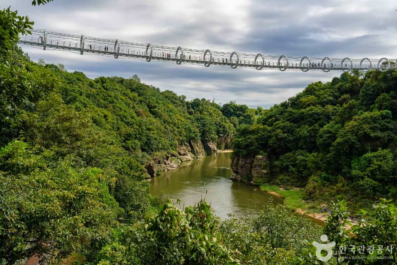 Top 5 Tourist Destinations in Cheorwon, Gangwon-do: A Summer Journey of Peace, History, and Scenic Beauty