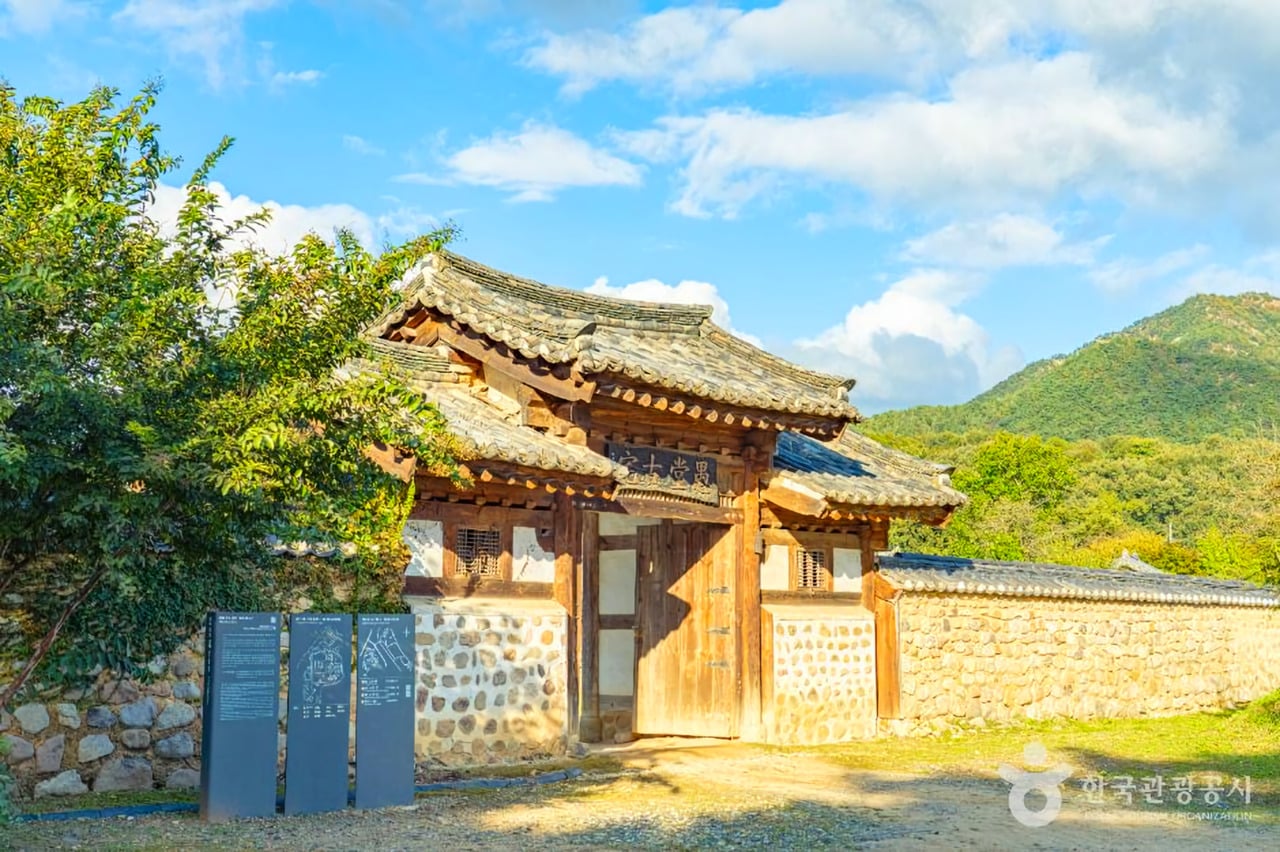 A Travel Course in Boeun at the Foot of Mt. Songnisan… From Farming Culture Experiences to a 600-Year-Old Pine Tree