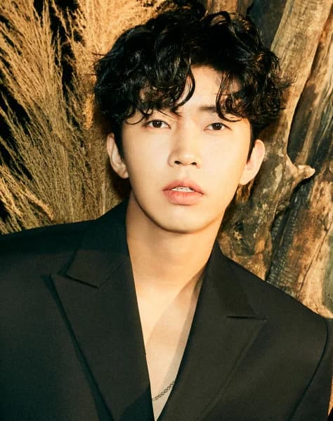 Lim Young-woong to Hold Second Stadium Solo Concert in Goyang in September... Three-Day Shows Confirmed
