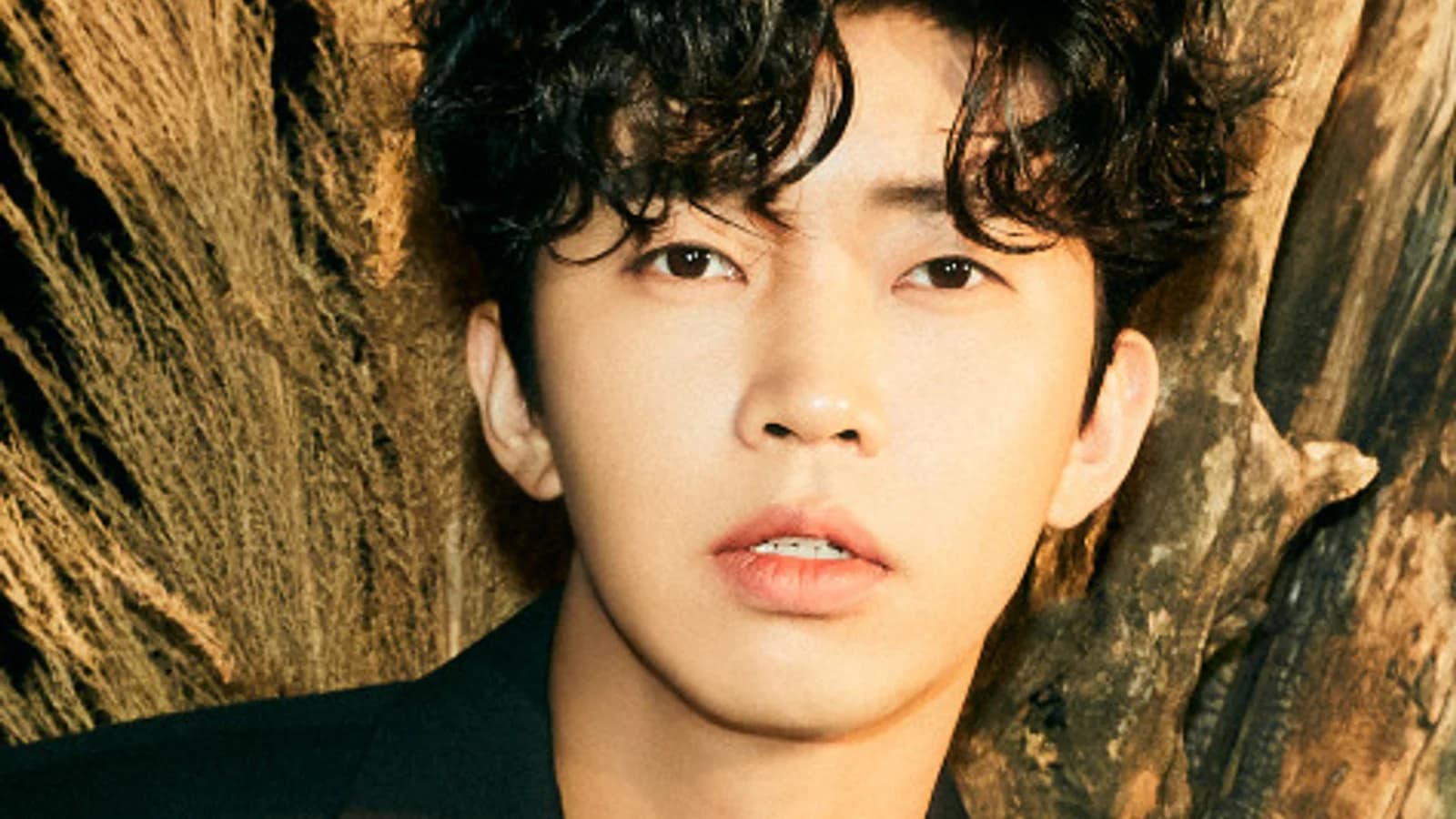 Lim Young-woong to Hold Second Stadium Solo Concert in Goyang in September... Three-Day Shows Confirmed