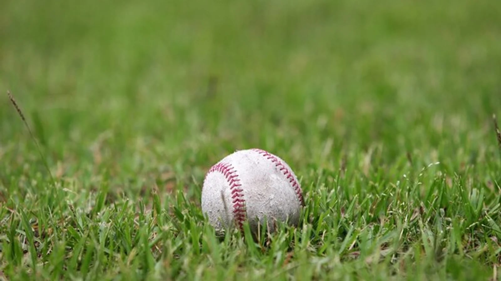 Final Roster for 2026 Asian Games Baseball National Team Confirmed... Kim Do-young, Noh Si-hwan, and Moon Bo-kyung Included