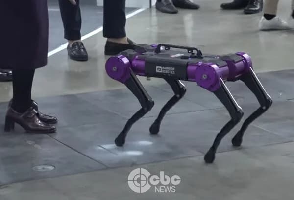 Rainbow Robotics Shares Plunge... Sharp Brake on 3-Day Winning Streak