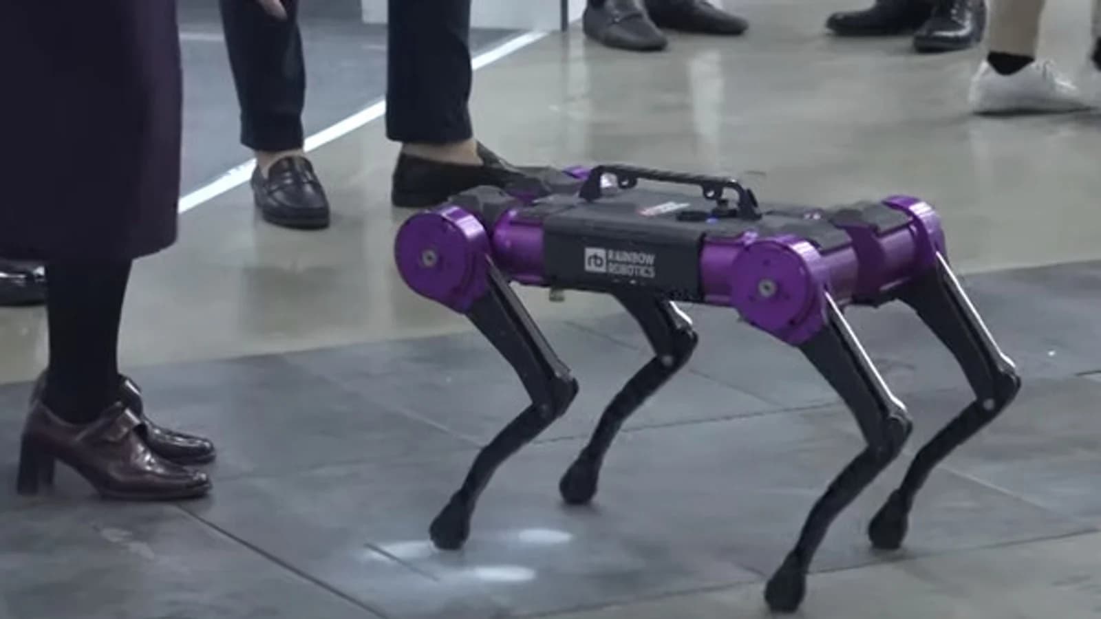 Rainbow Robotics Shares Plunge... Sharp Brake on 3-Day Winning Streak