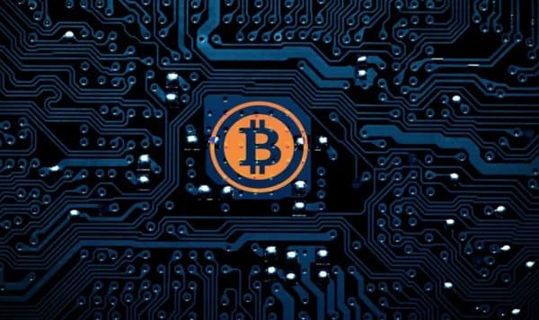 Bitcoin (BTC) as the 'Market Thermometer,' Ripple (XRP) Driven by 'Individual Catalysts'… Comparing Price Movement Structures and Investment Points