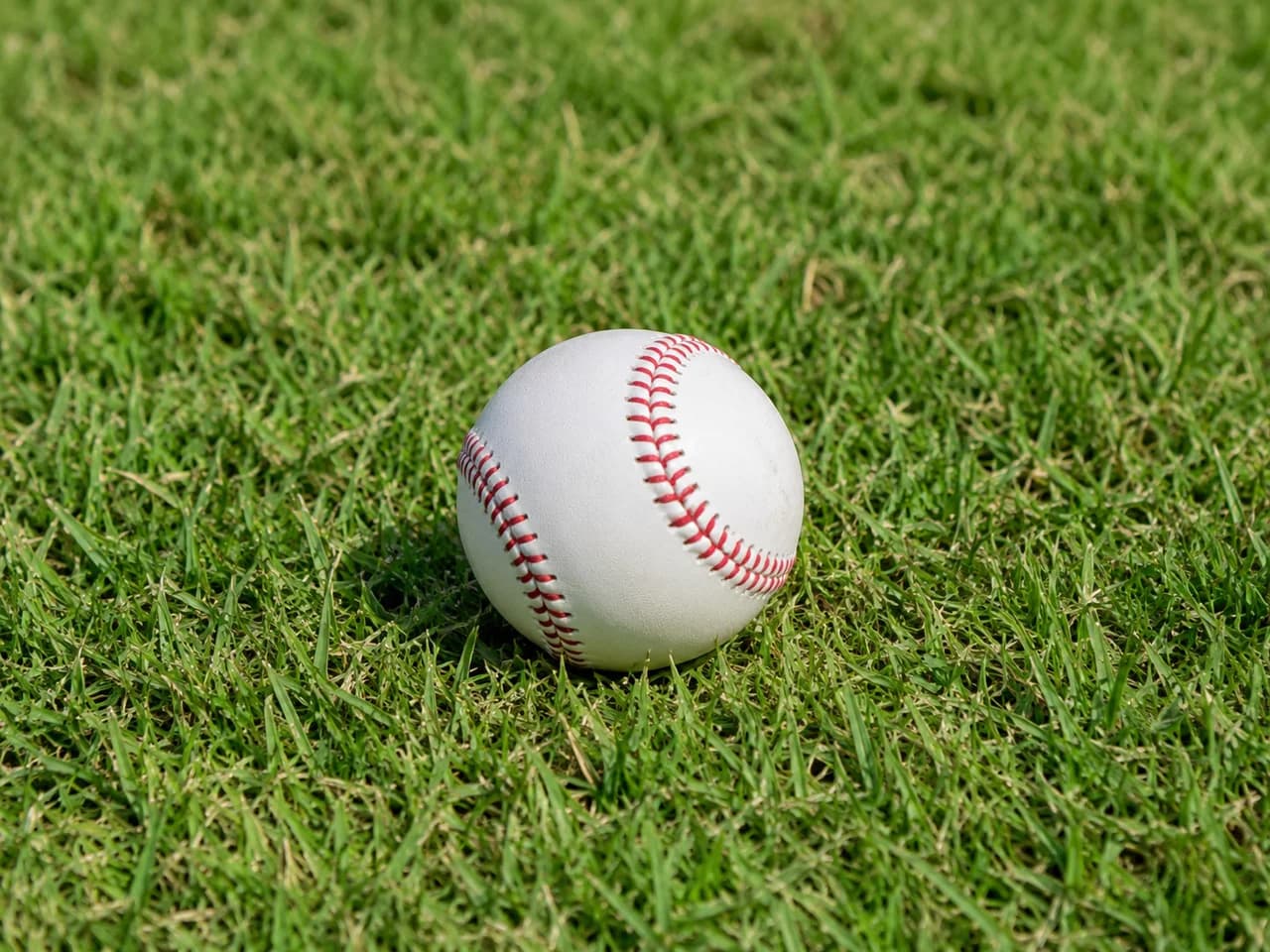 Attention on Hanwha's Next Manager and General Manager Picks… Ryu Ji-hyun and Son Cha-hoon Tandem Seen as Front-runners