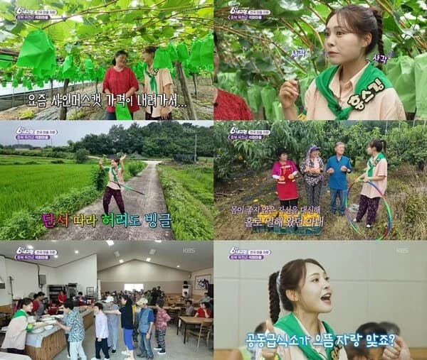 "My Hometown at 6" Miss Kim Takes on Challenge as Prospective Village Head in Okcheon Seokhwa Village... Comforts Shine Muscat Farmers and Shares Tears with Residents