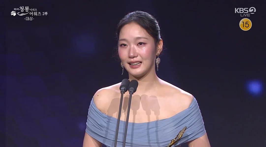 Kim Go-eun Honored with Grand Prize at 5th Blue Dragon Series Awards... Recognized for OTT Sweep and Global Activities