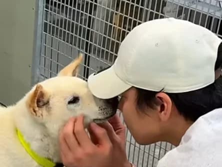 Jang Han Byul Volunteers at Dog Shelter Day Before Daejeon Concert in 'Warm Gesture'... Fan Donations Exceed 20 Million Won