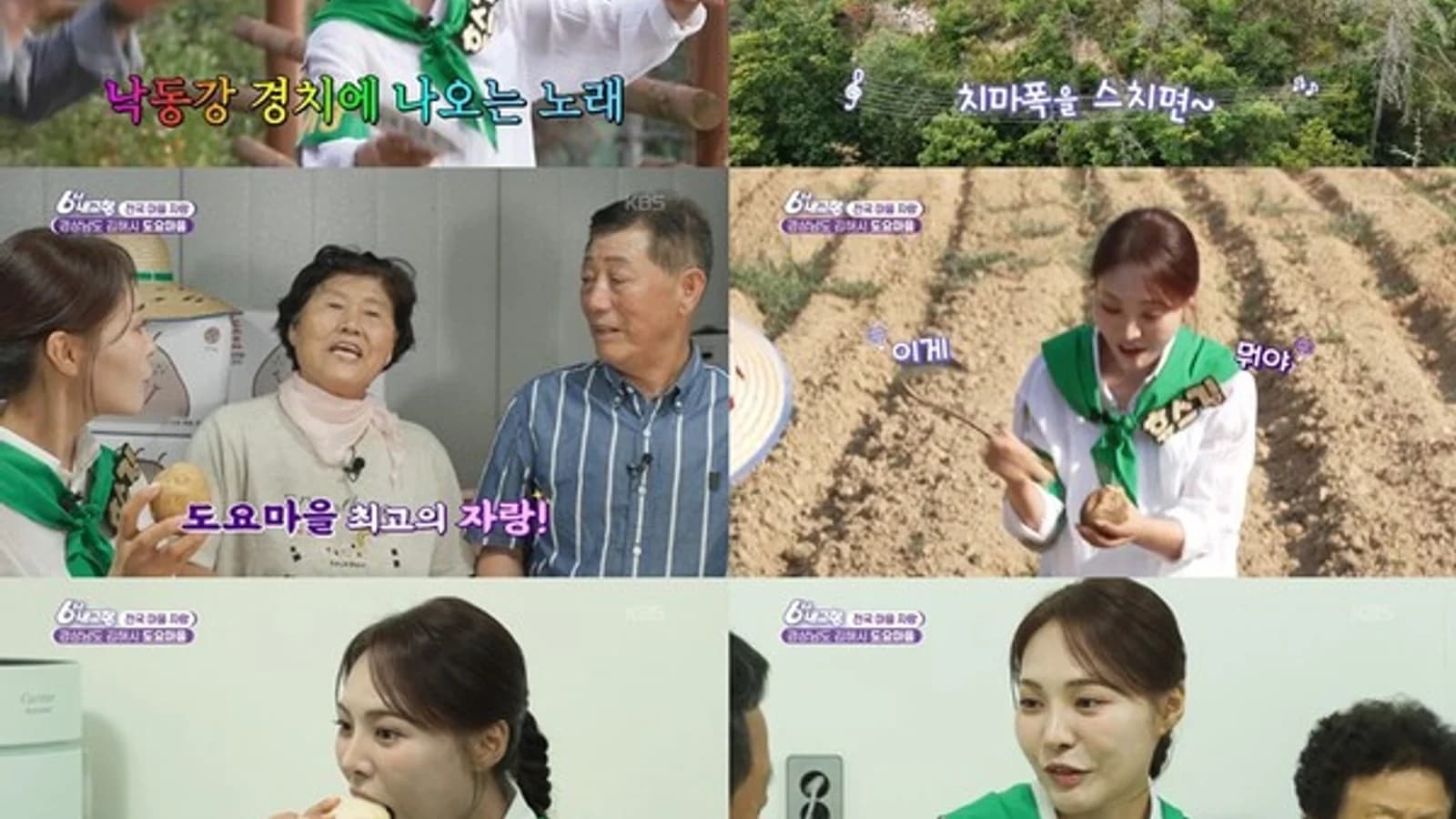 Miss Kim Discovers the Secret of '99% Potato' in Gimhae Doyo Village... Appears on KBS 'My Hometown at 6 O'clock'