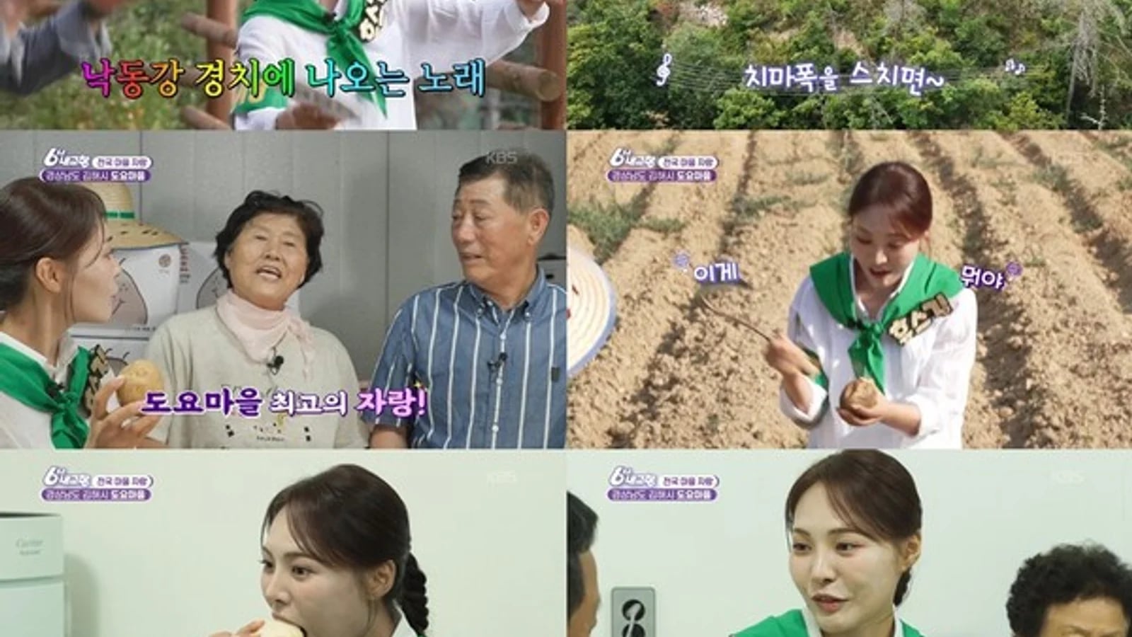 Miss Kim Discovers the Secret of '99% Potato' in Gimhae Doyo Village... Appears on KBS 'My Hometown at 6 O'clock'