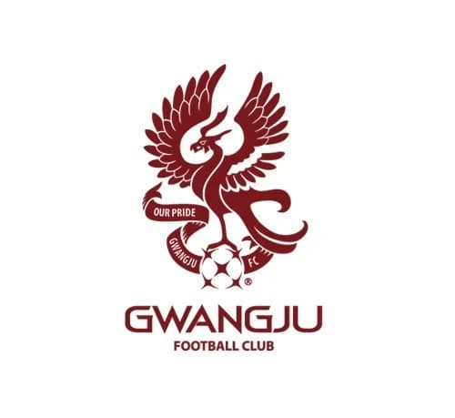 Gwangju FC Squad Rescues Driver from Burning Vehicle in Early Morning Traffic Accident: "We Just Did What We Had to Do"