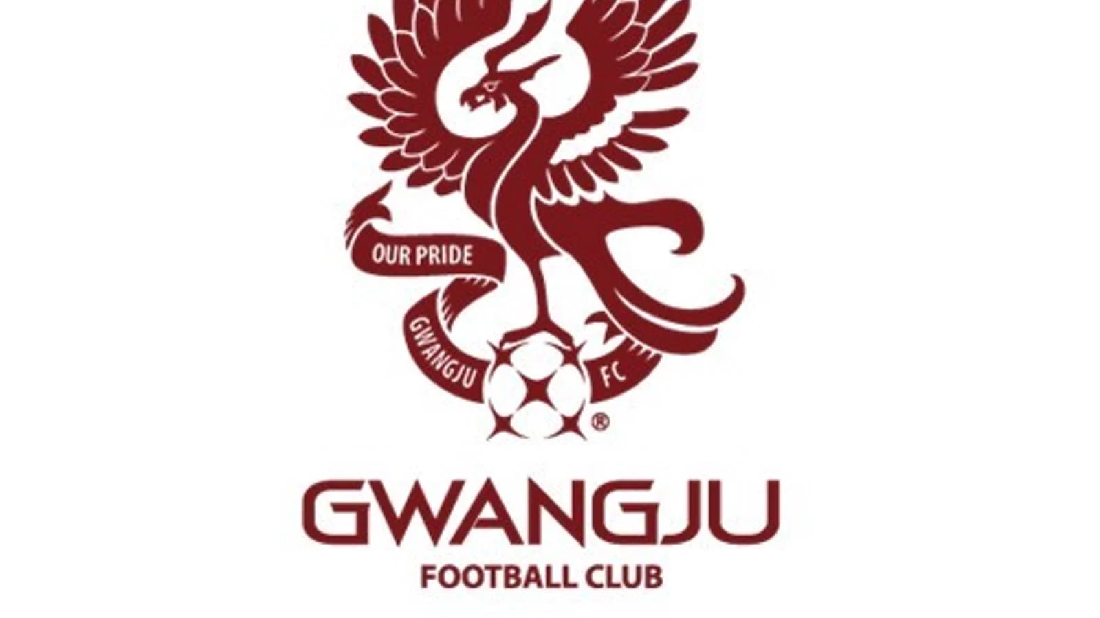 Gwangju FC Squad Rescues Driver from Burning Vehicle in Early Morning Traffic Accident: "We Just Did What We Had to Do"
