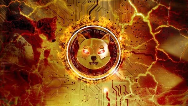 Shiba Inu (SHIB) Ecosystem Expansion is Key... Meme Coin Volatility Risk Remains