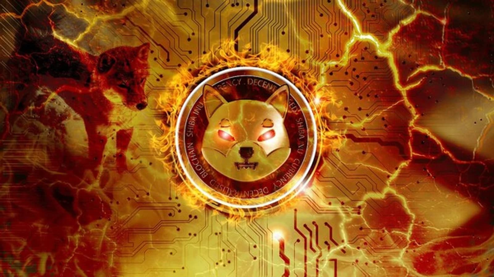 Shiba Inu (SHIB) Ecosystem Expansion is Key... Meme Coin Volatility Risk Remains