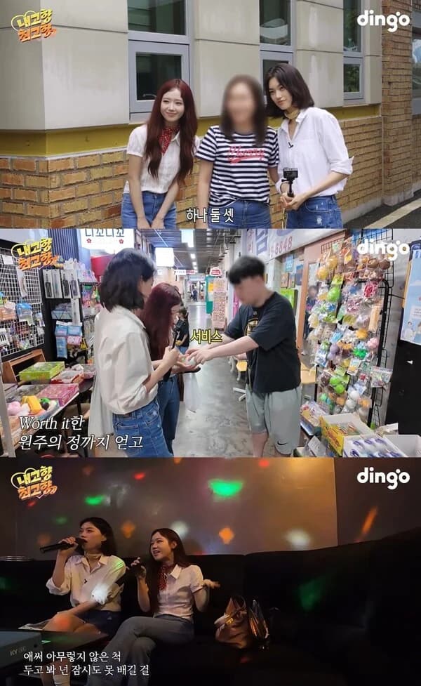 Kim Doyeon and Choi Yoojung Launch Dingo's 'My Hometown, Best Hometown'… A Local Trip to Wonju, Gangwon-do