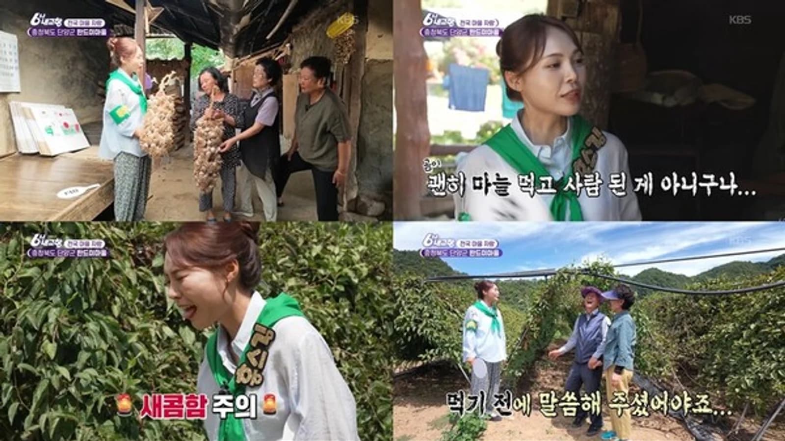 "Hometown at Six" Miss Kim Visits Handeumi Village in Danyang… From Garlic and Omija Tasting to Cave Exploration