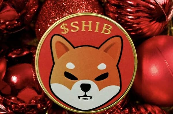 Shiba Inu Faces Test of Ecosystem Expansion Beyond Meme Coin Status… Shift to 'Usable Asset' Is Key