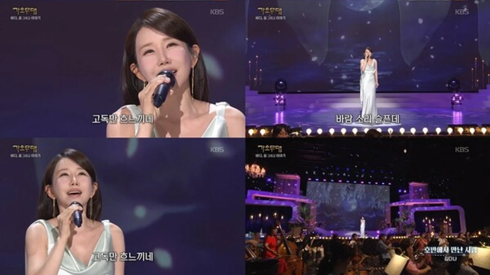 Kim Dana Reinterprets 'The Person I Met by the Lakeside' on KBS1's 'Gayo Stage'... Captivating Vocals and Elegant Stage Leave a Strong Impression