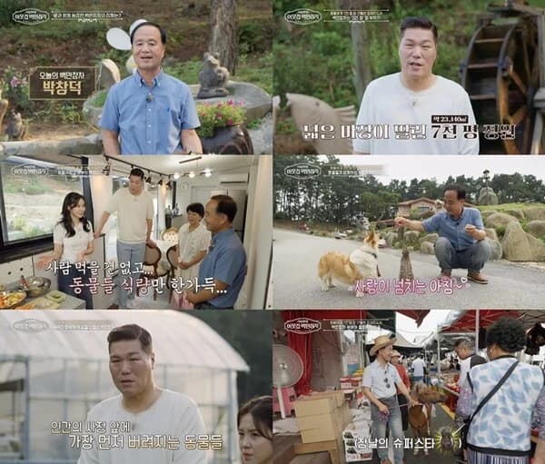 'Seo Jang-hoon's Neighbor Millionaire' Park Chang-deok Lives with Six Pets on a 7,000-Pyeong Estate... Custom Meals Prepared in an Animal-Only Kitchen
