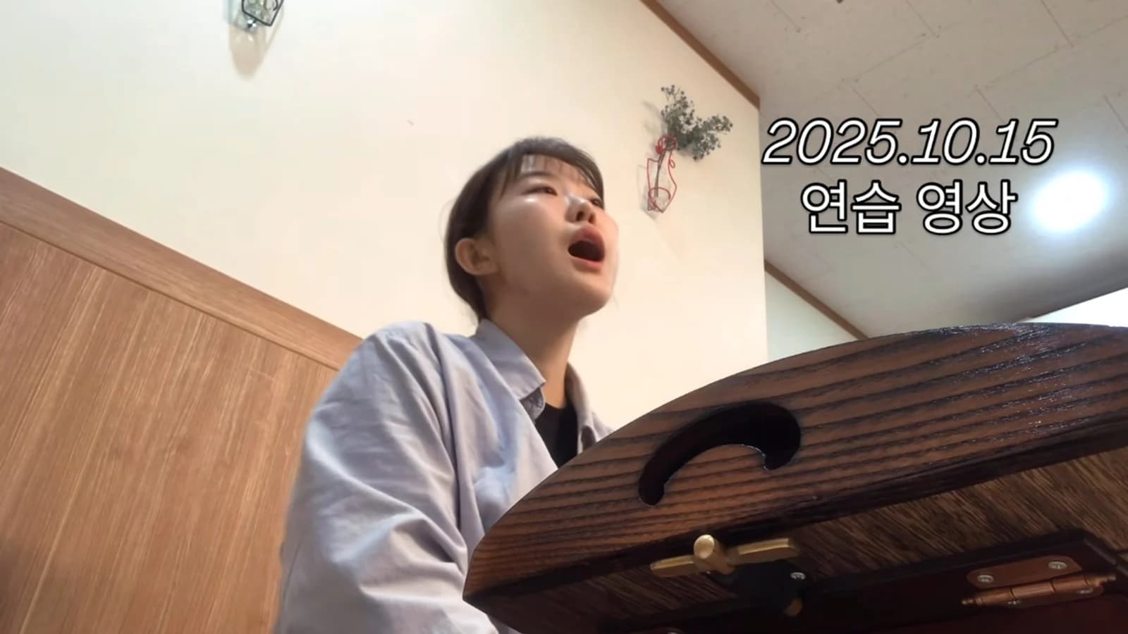 Hong Sung-yoon's Practice Video of Gayageum Byeongchang for 'Hongyeon' Draws Attention... Performing 25-String Gayageum and Singing Simultaneously