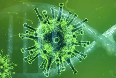 Flu Vaccination for Those 65 and Older Begins October 6... Schedule by Age and COVID-19 Vaccination Overview