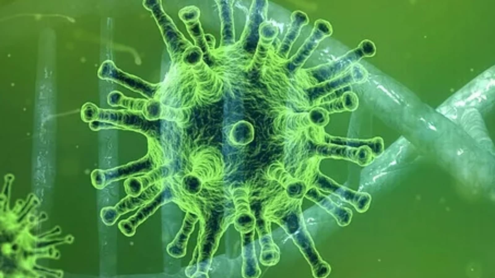 Flu Vaccination for Those 65 and Older Begins October 6... Schedule by Age and COVID-19 Vaccination Overview