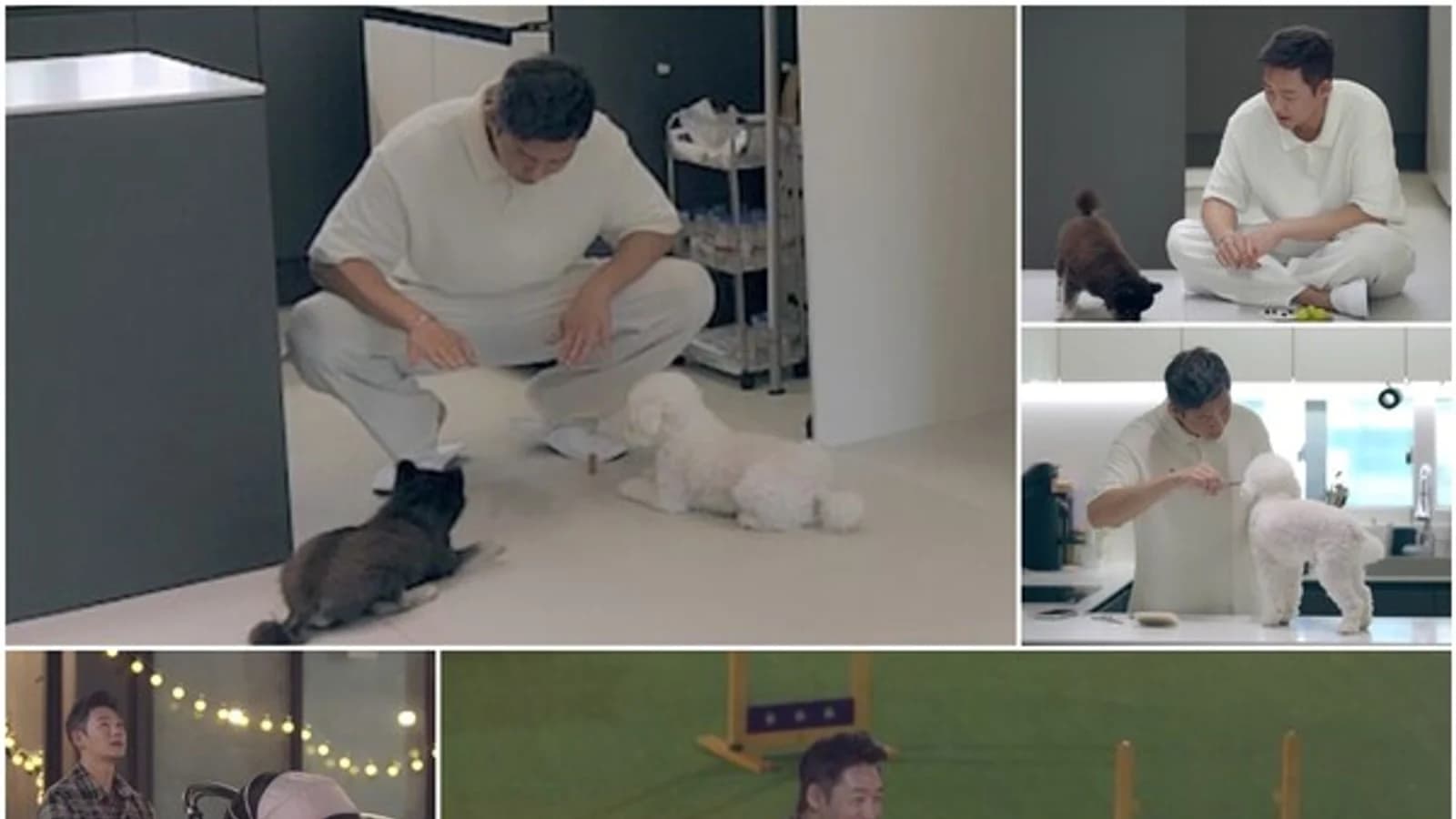 Lee Tae-sung Goes on a Dog Cafe Blind Date with His Pets Mond and Kao... "I Think We've Met Before," Mentioning a Past Connection ('Groom's Class 2')
