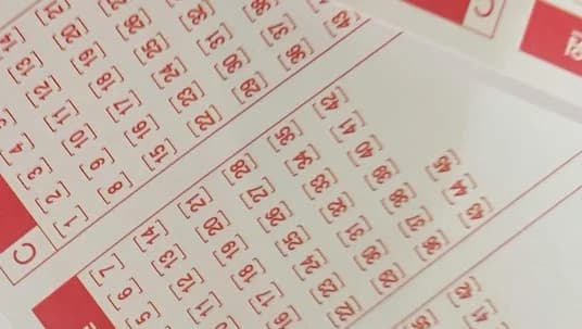 Lotto Draw 1245 Winning Numbers '4·5·25·28·32·42'... Bonus Number '12', 10 First-Place Winners Each Receive 300 Million Won