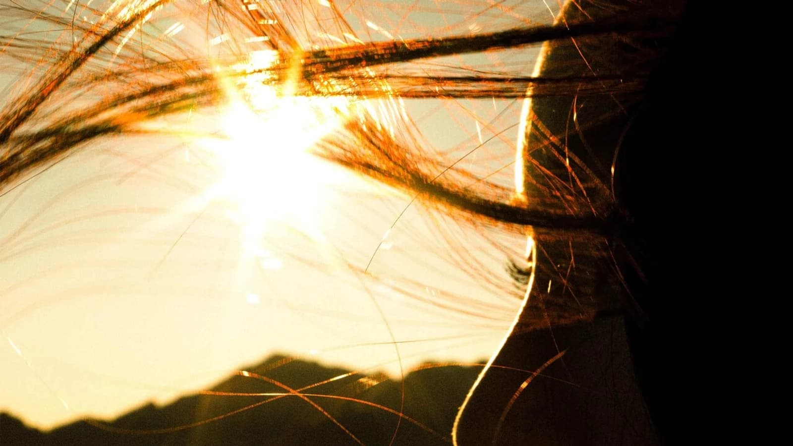 Song So-hee to Release New Single 'Sunlight, Wind' Today (14th) at 6 PM... Wrote, Composed, and Produced It Herself