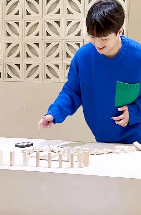 Fans Laugh at Lee Chan-won's YouTube Domino Game Video... "The Dominoes Are at Fault"