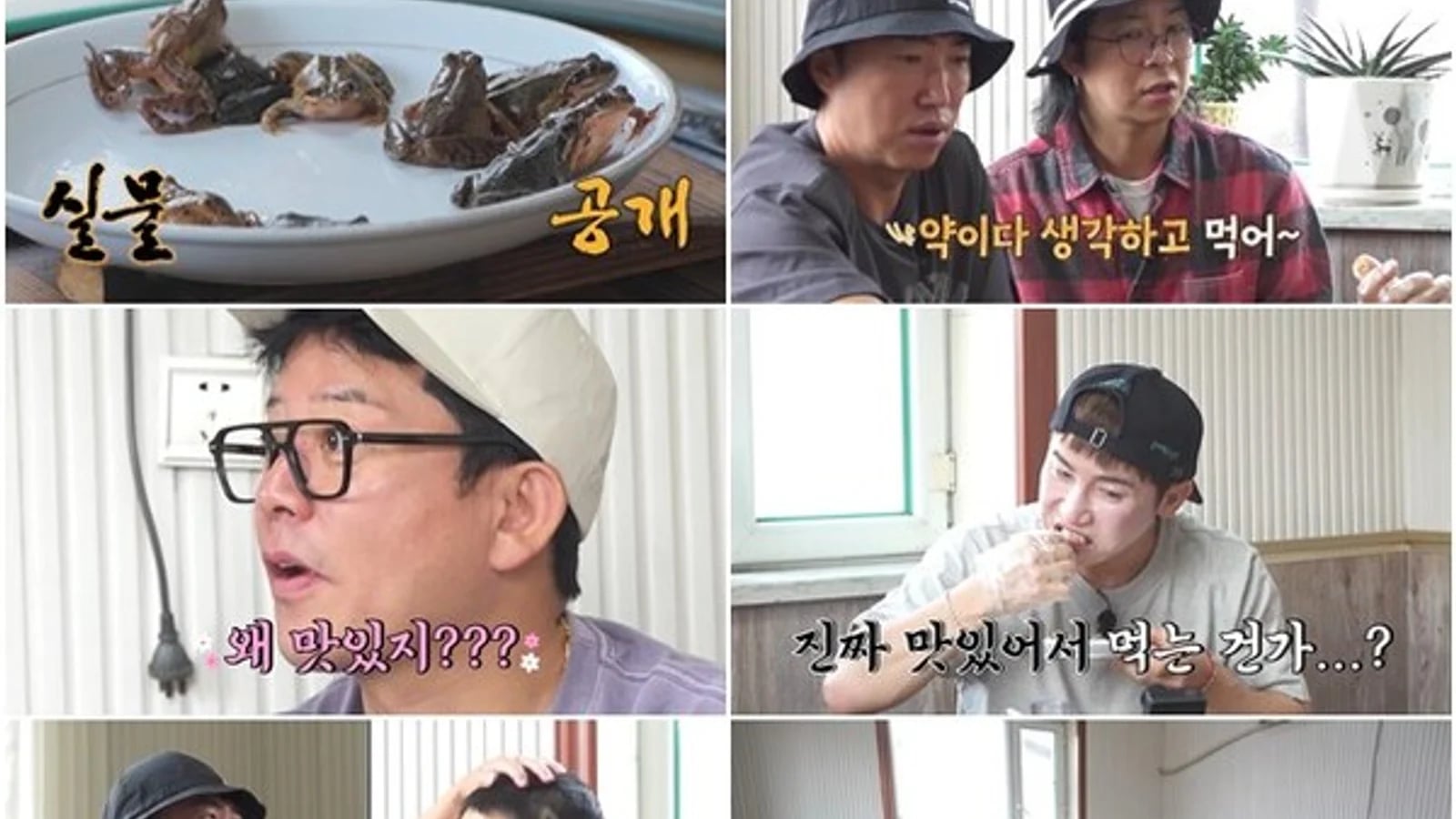 Yoo Se-yoon Named Final Solo Burden Bearer on 'Dokbak Tour'... Performs 'Oil Frog' Penalty, 'The Legs Are Surprisingly Tasty'
